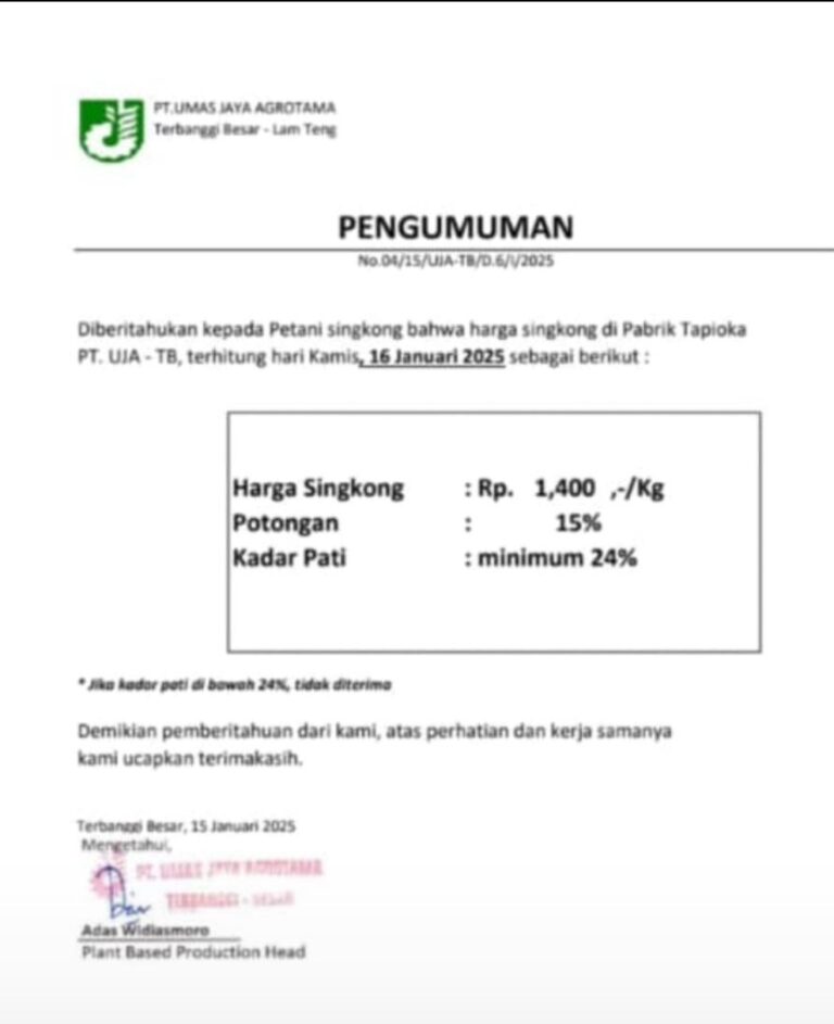 Aribun: Hari Ini, PT.UJA Terbanggi Besar Lamteng Tetapkan Harga Singkong 1.400/Kg